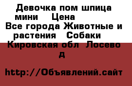 Девочка пом шпица мини  › Цена ­ 30 000 - Все города Животные и растения » Собаки   . Кировская обл.,Лосево д.